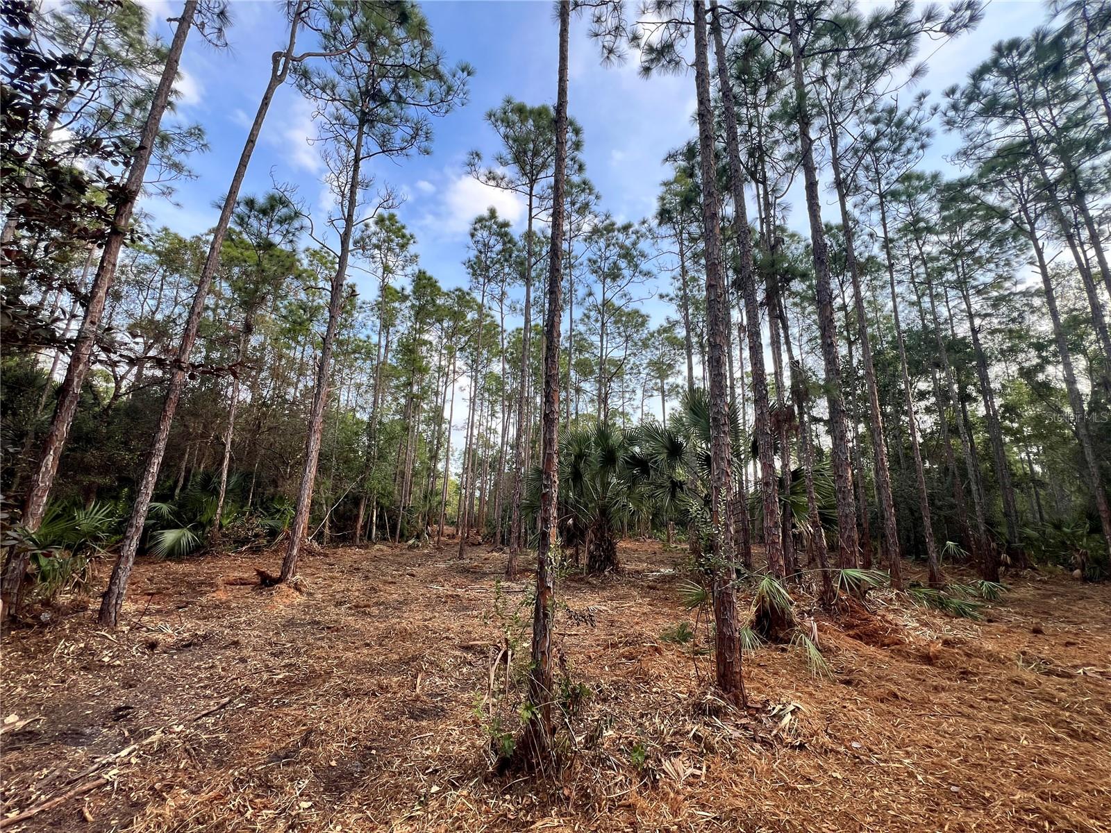 Details for  Pantera Ln  , NAPLES, FL 34120