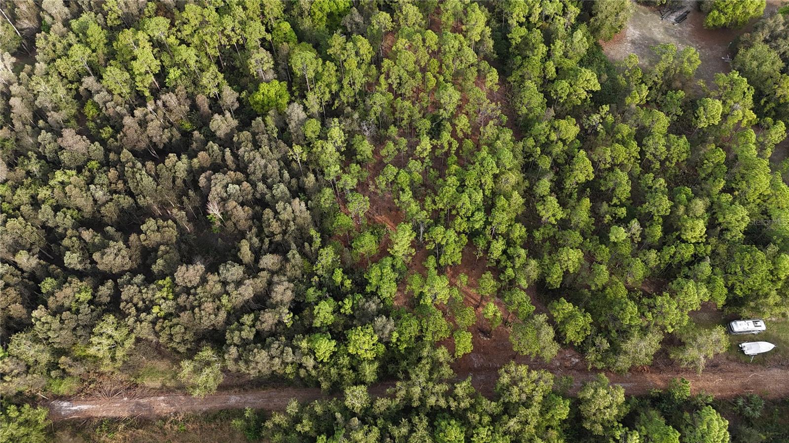 Image 12 of 49 For  Pantera Ln  