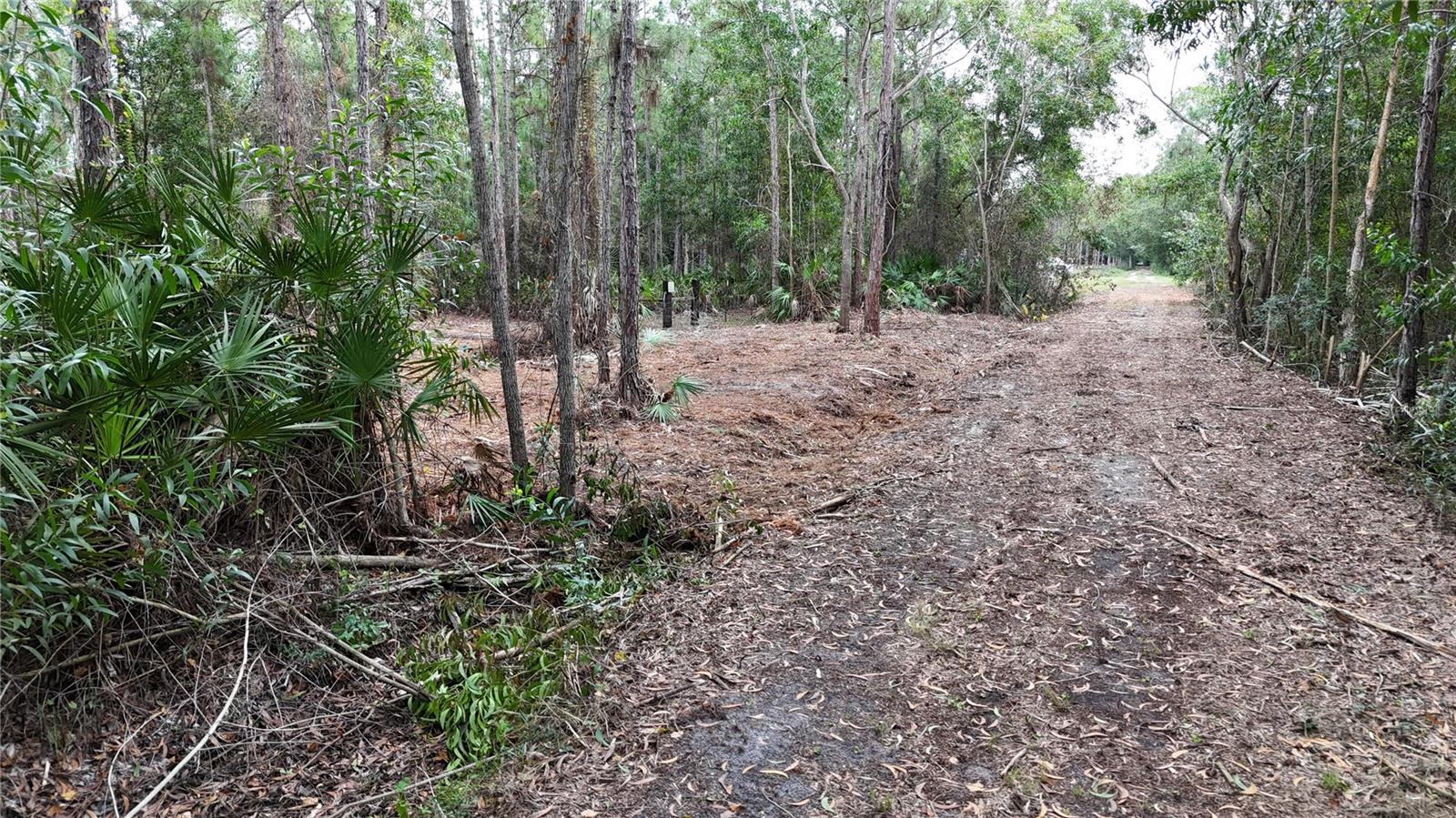 Image 13 of 49 For  Pantera Ln  