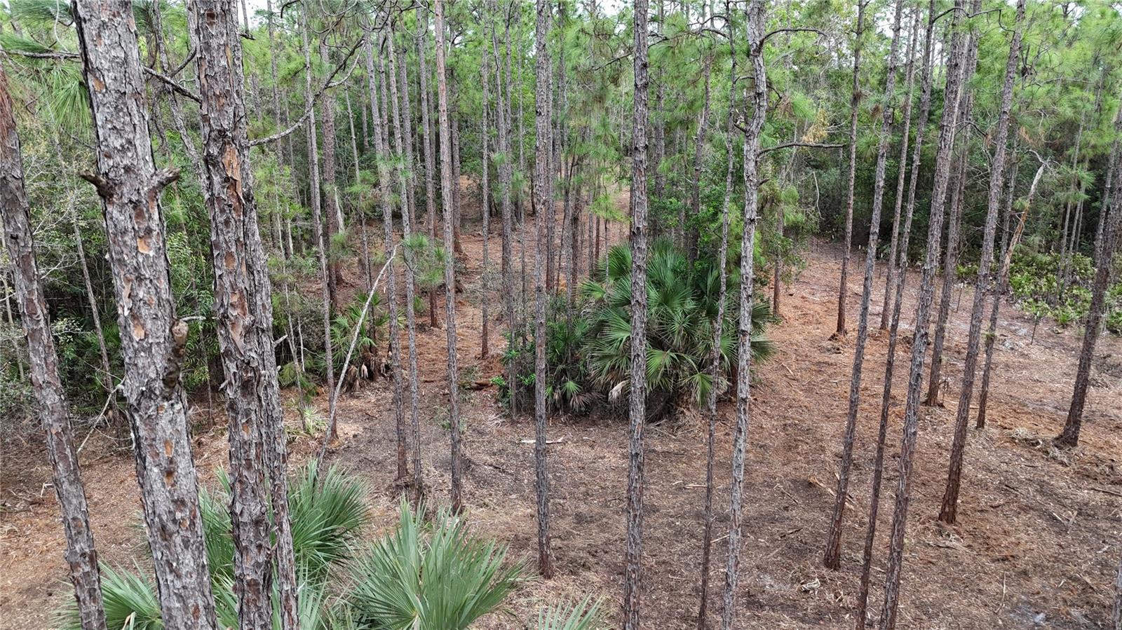 Image 16 of 49 For  Pantera Ln  