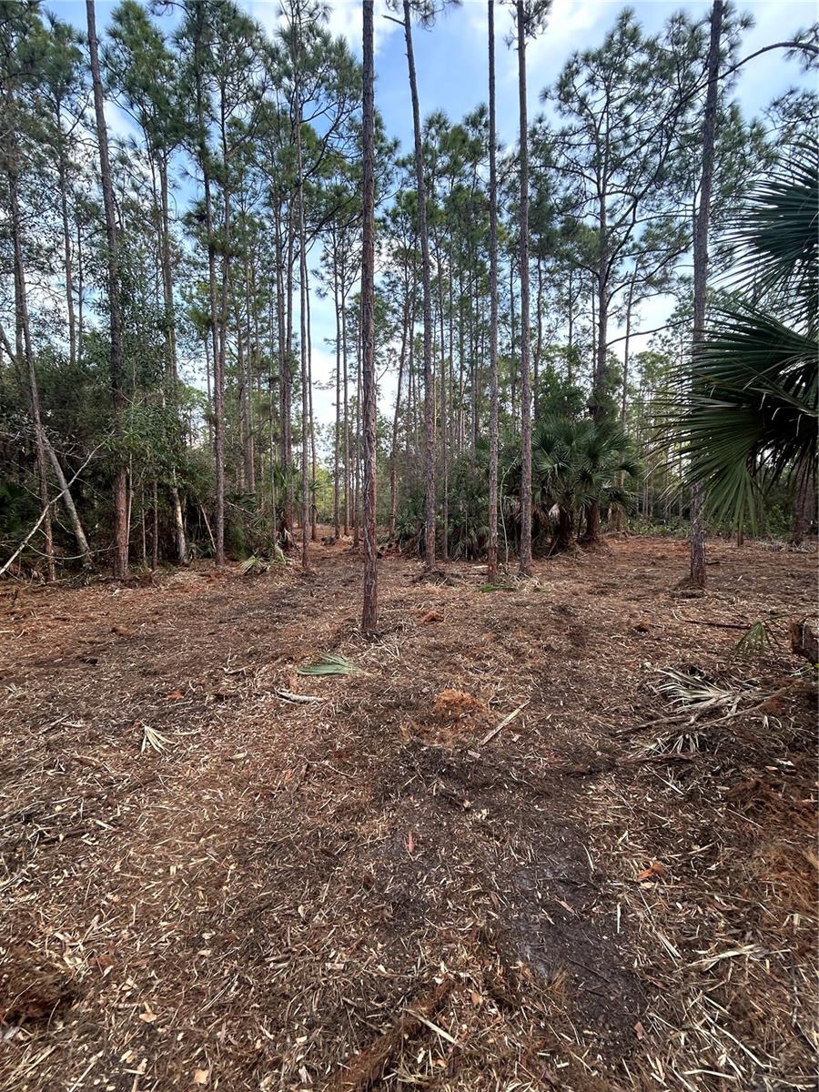 Image 19 of 49 For  Pantera Ln  