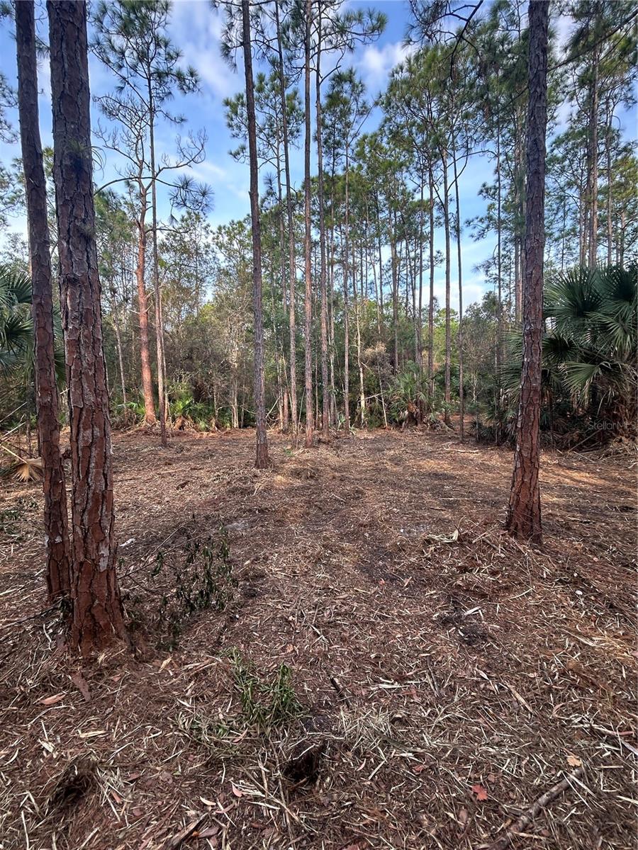 Image 20 of 49 For  Pantera Ln  