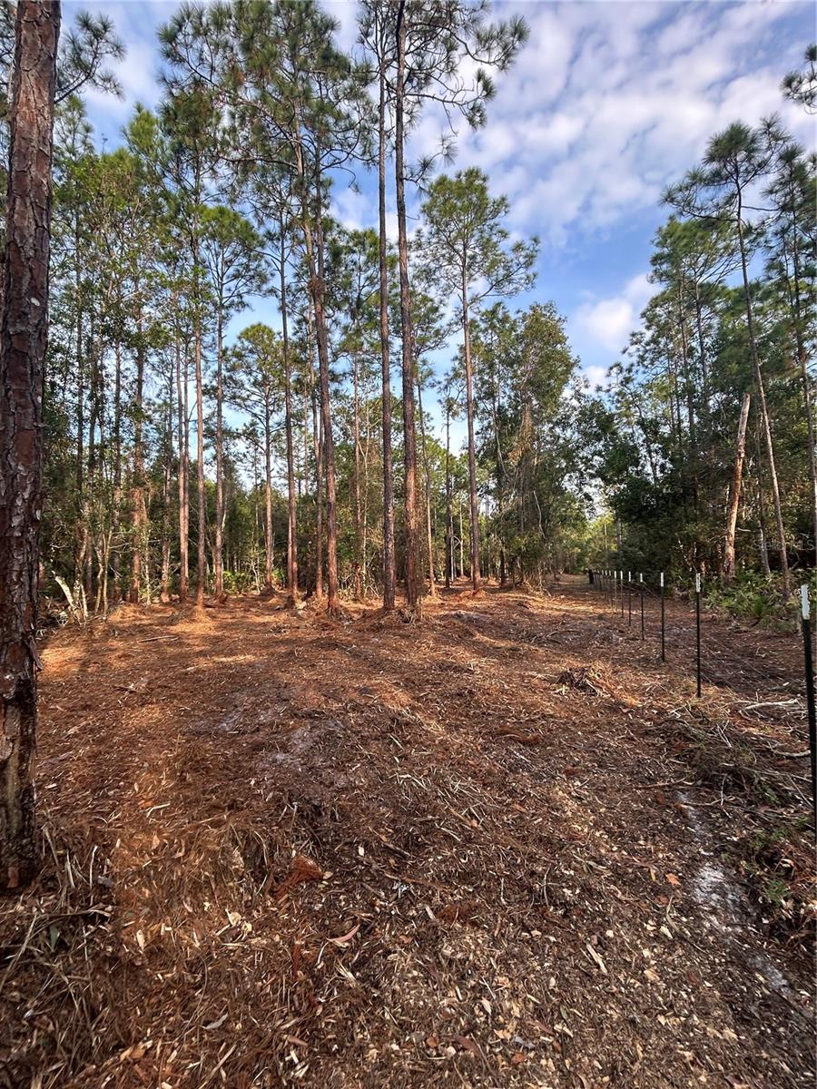 Image 21 of 49 For  Pantera Ln  