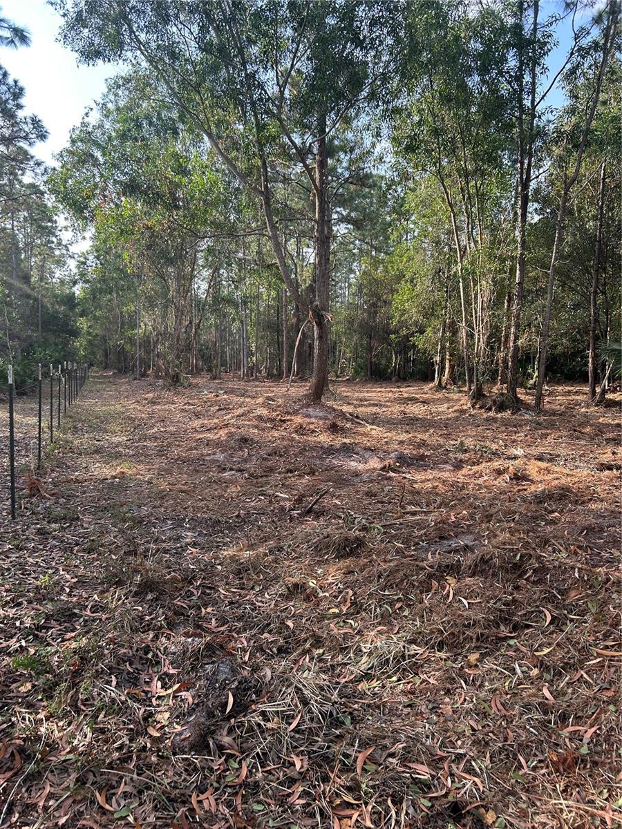 Image 23 of 49 For  Pantera Ln  