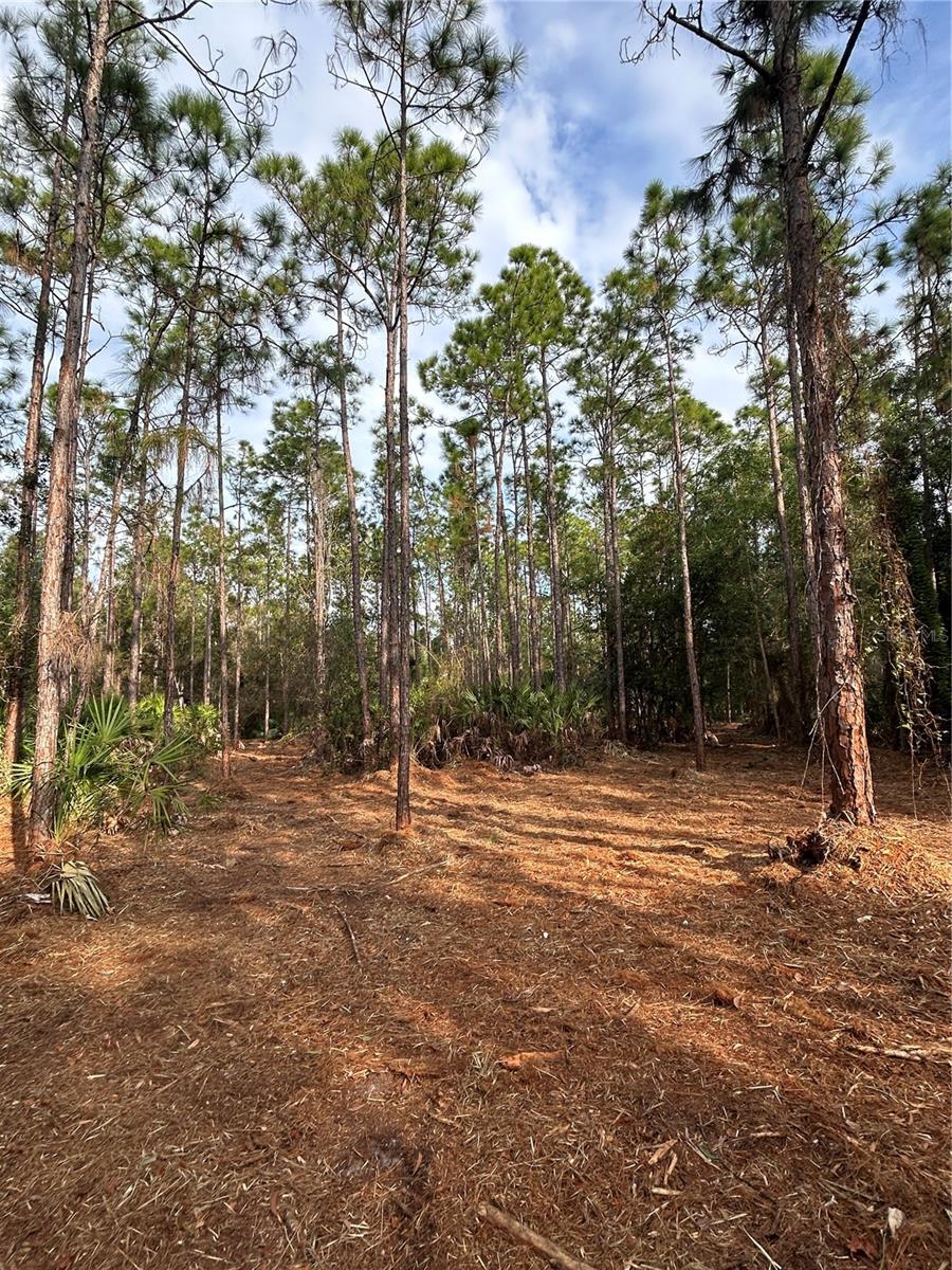 Image 25 of 49 For  Pantera Ln  