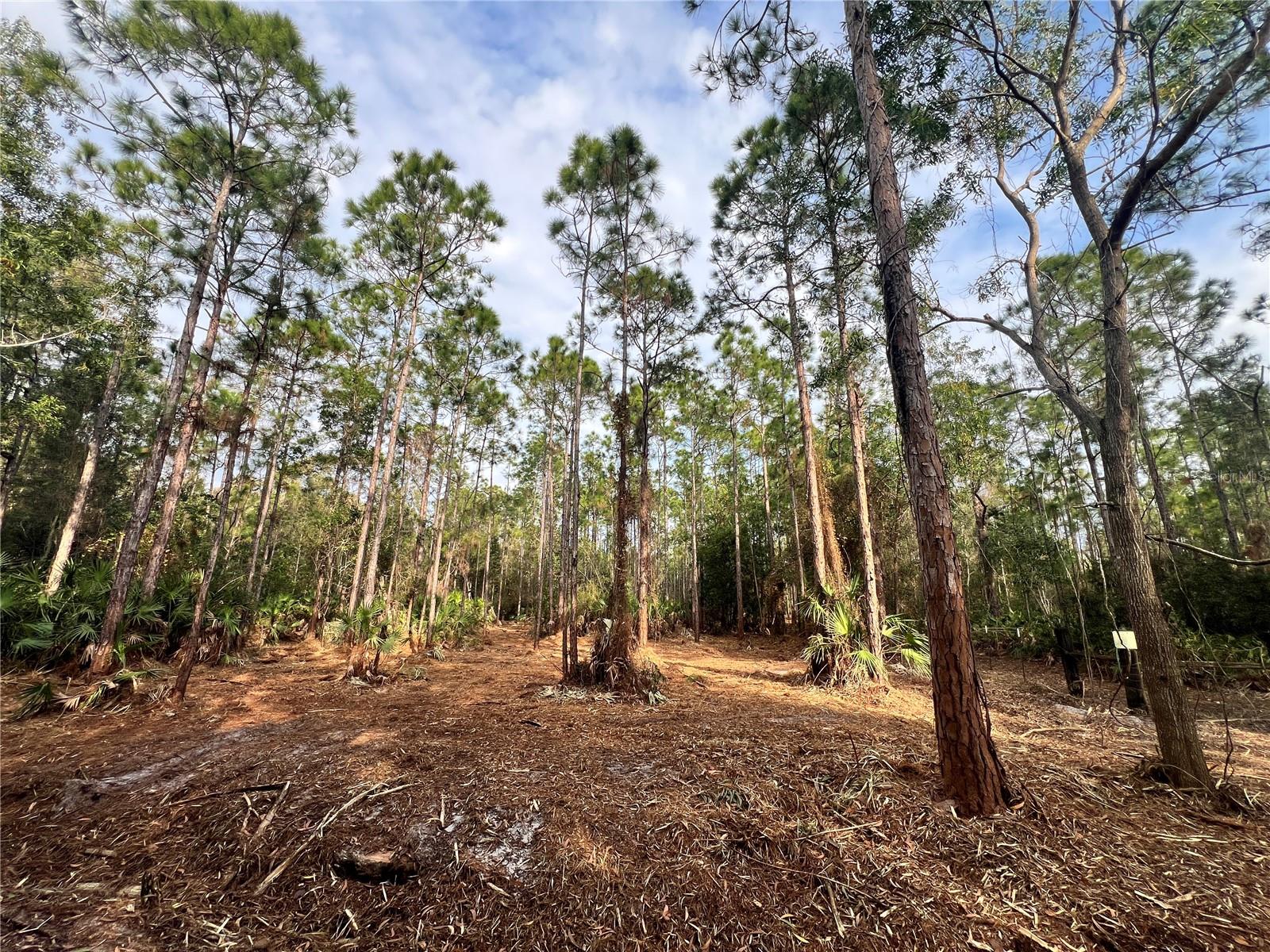 Image 26 of 49 For  Pantera Ln  