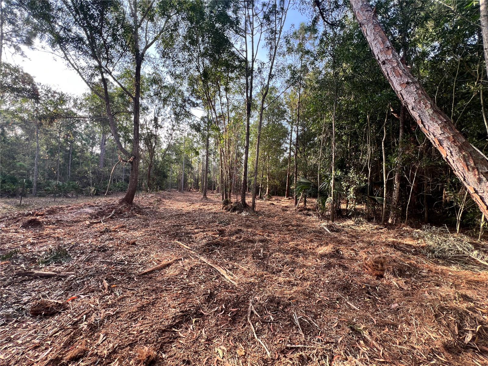 Image 28 of 49 For  Pantera Ln  