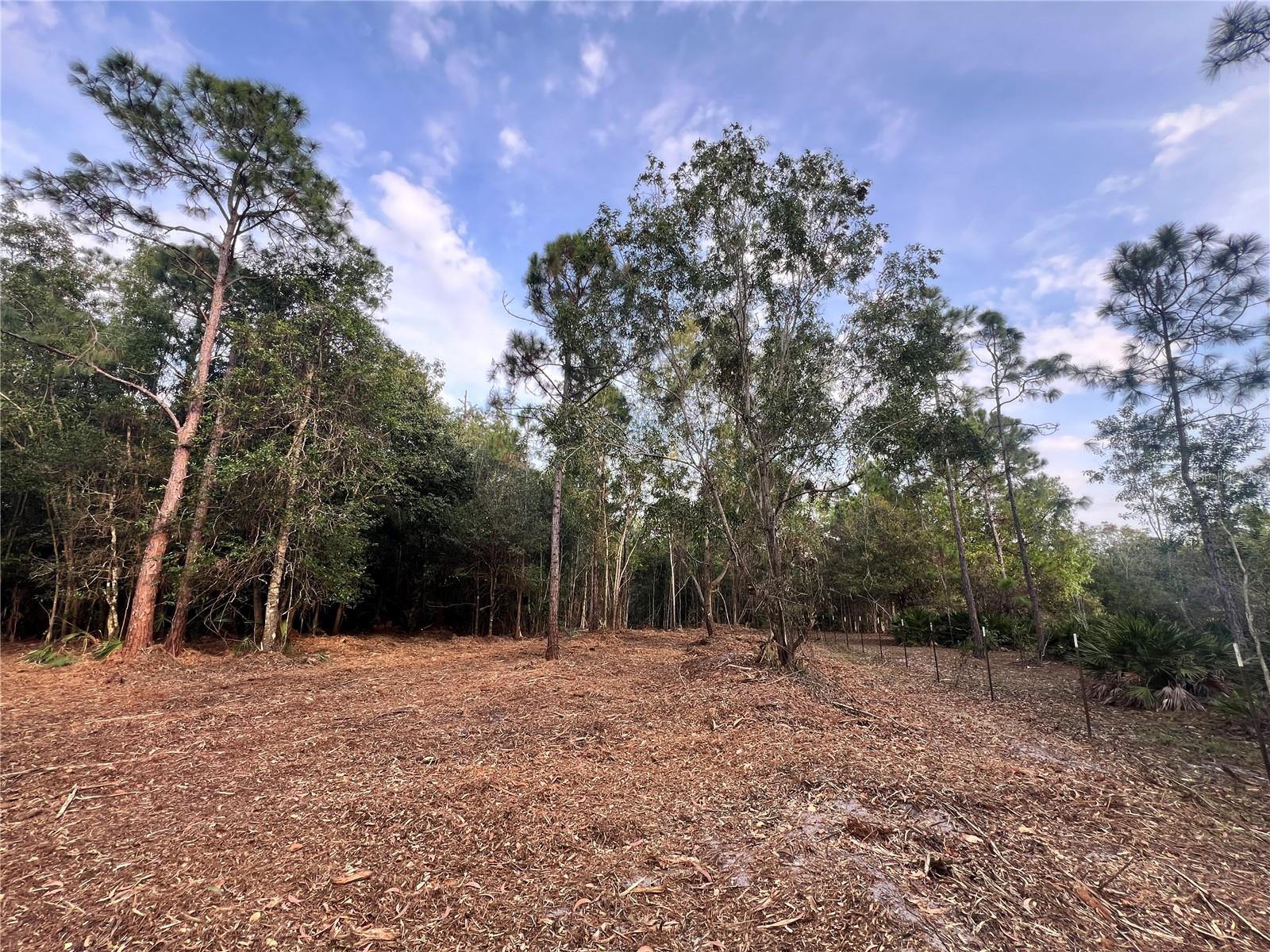 Image 29 of 49 For  Pantera Ln  