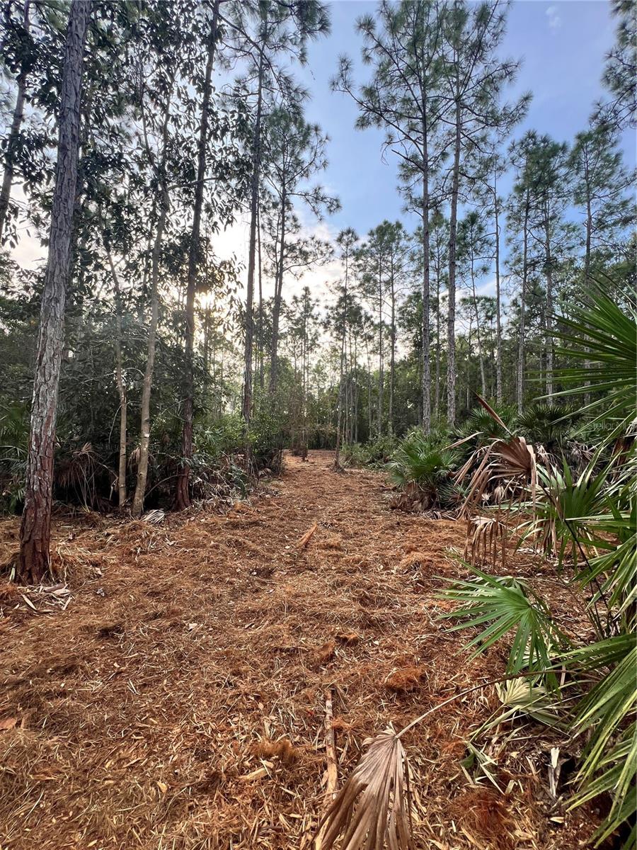 Image 3 of 49 For  Pantera Ln  