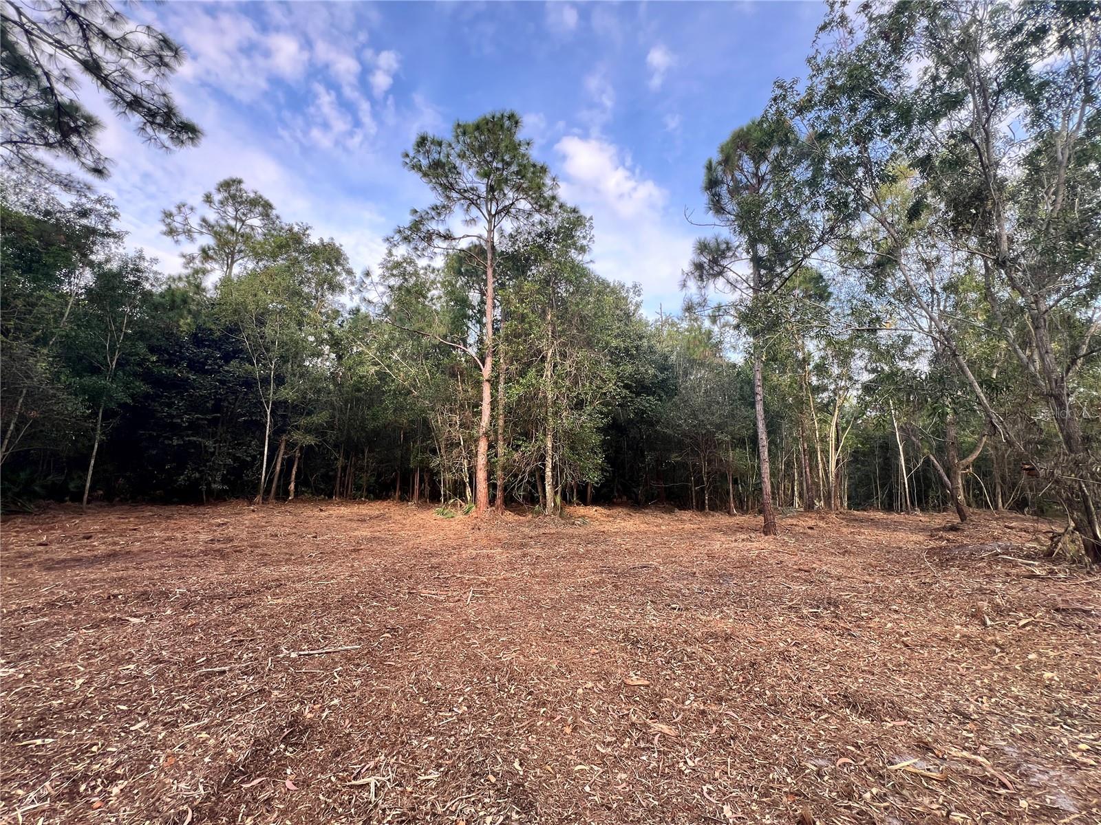 Image 30 of 49 For  Pantera Ln  