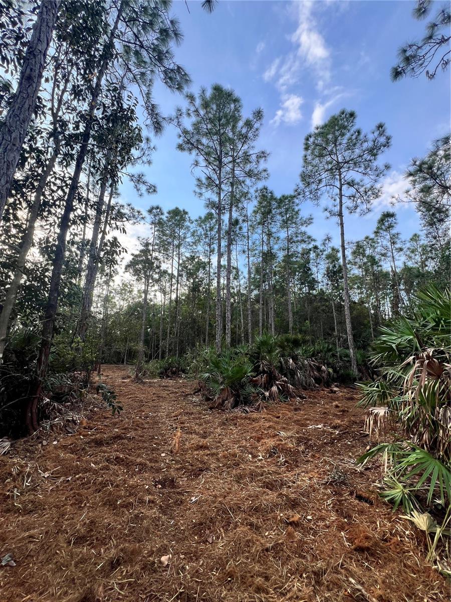 Image 32 of 49 For  Pantera Ln  