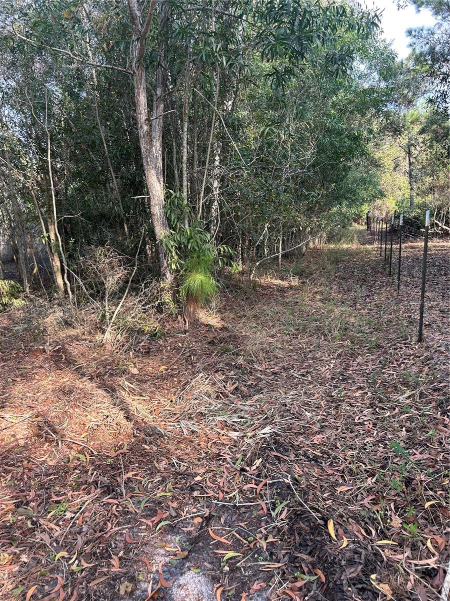 Image 35 of 49 For  Pantera Ln  