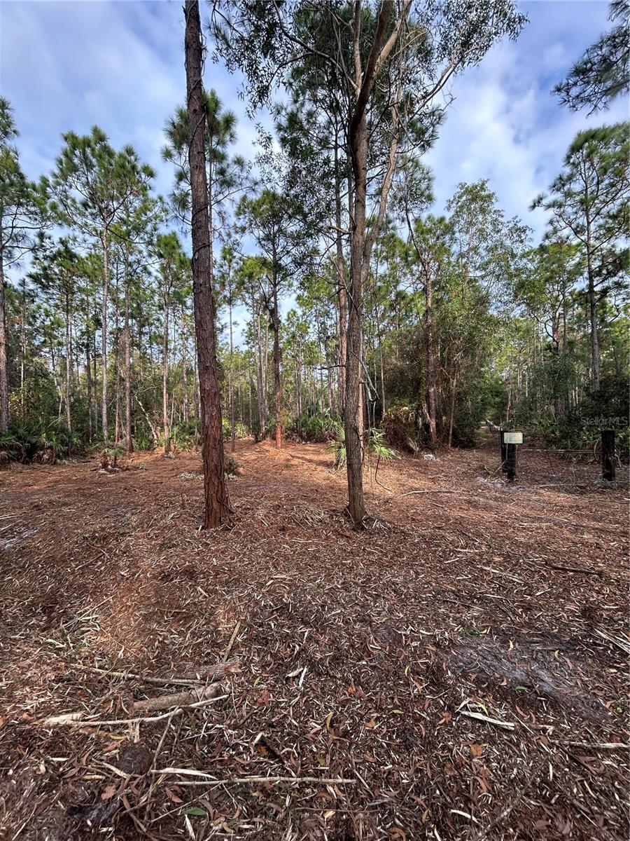 Image 38 of 49 For  Pantera Ln  