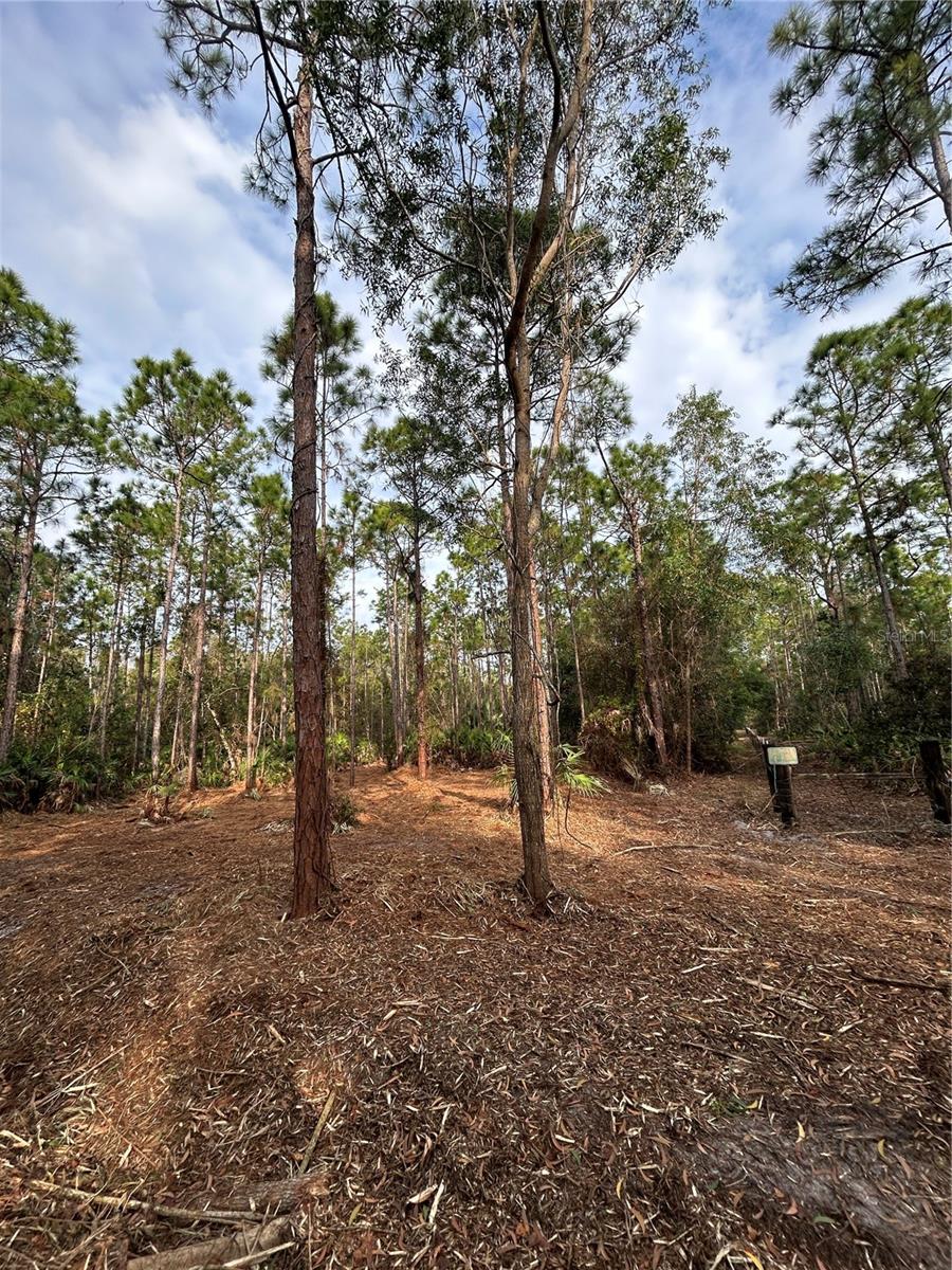 Image 39 of 49 For  Pantera Ln  