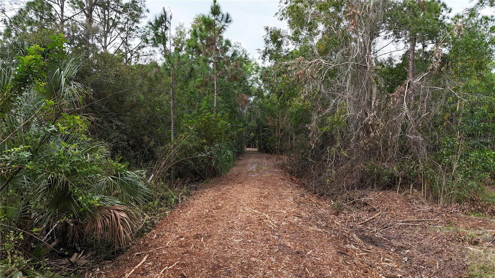 Image 6 of 49 For  Pantera Ln  