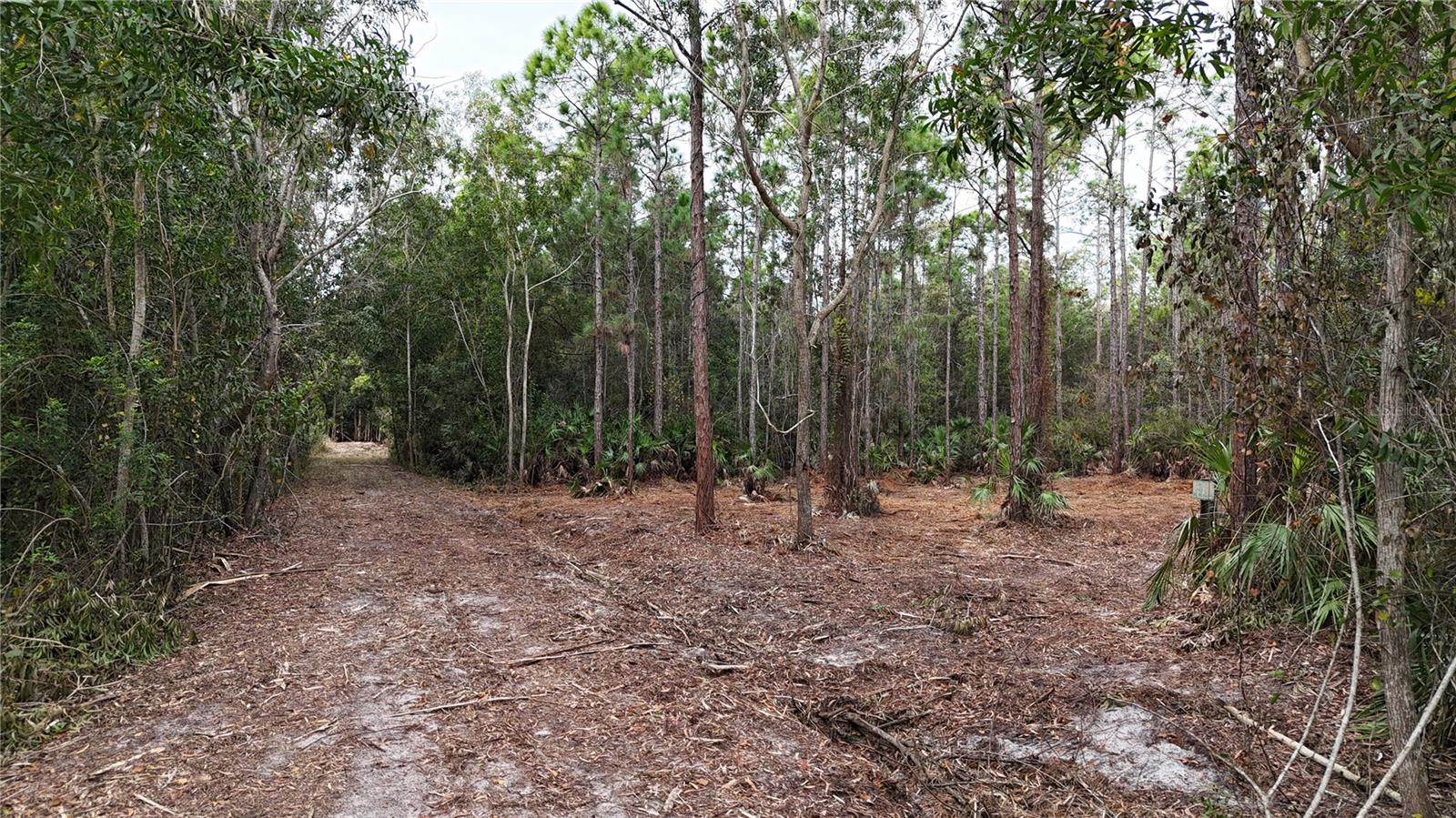 Image 7 of 49 For  Pantera Ln  