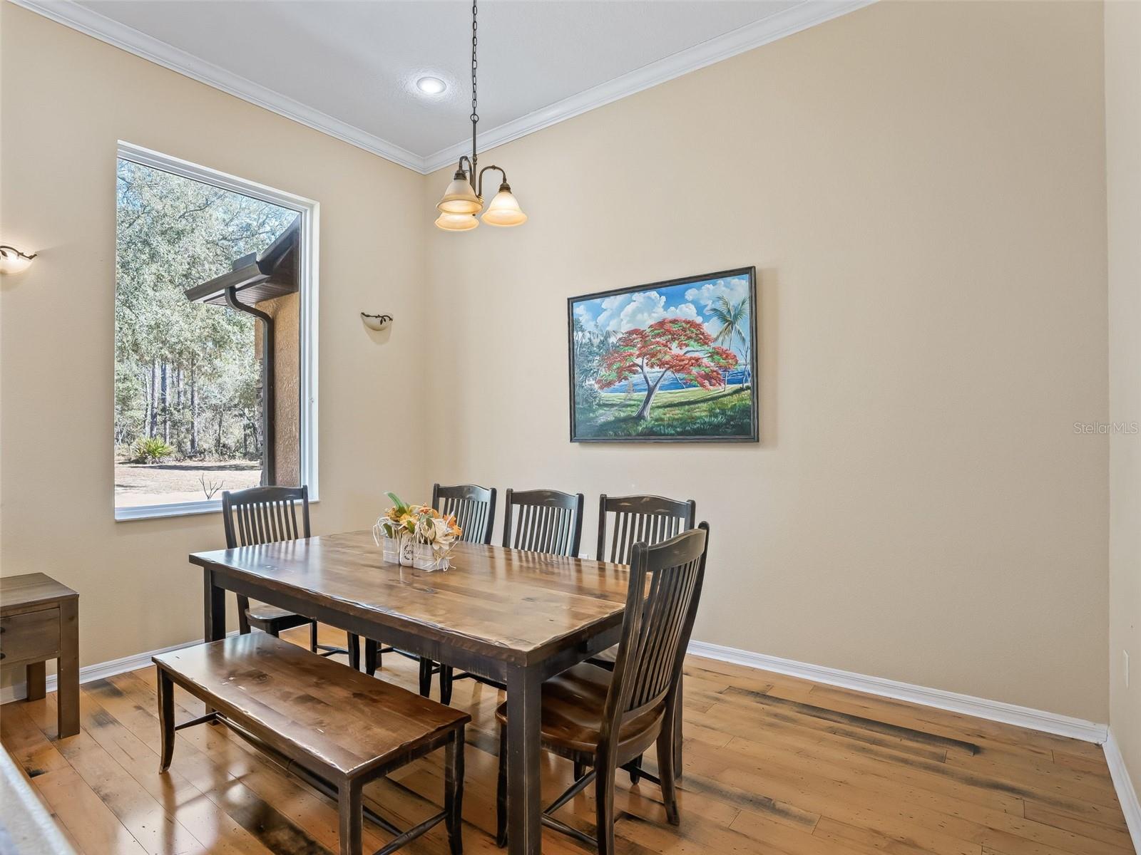 Listing photo id 16 for 11670 6th Street