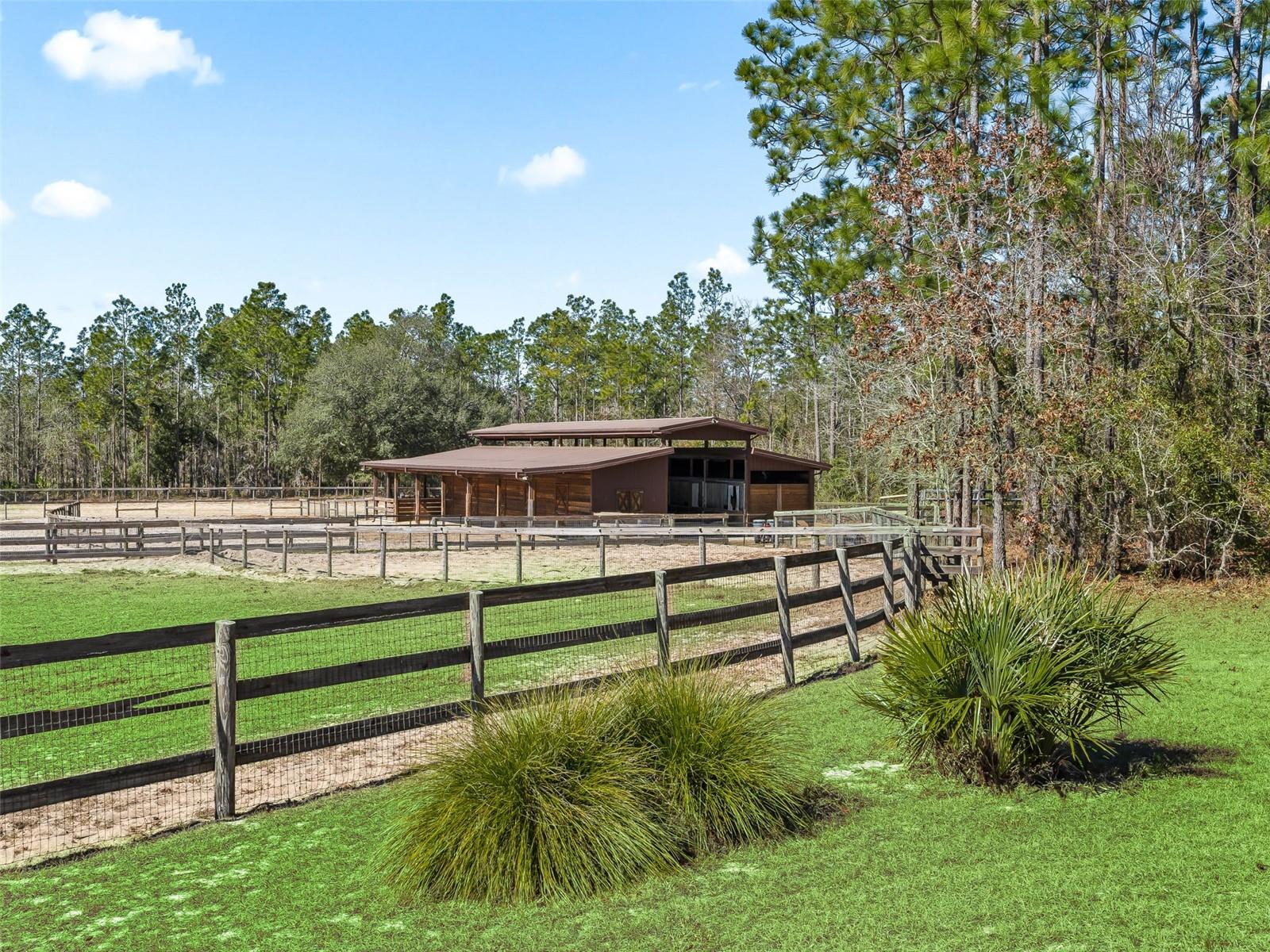 Listing photo id 43 for 11670 6th Street