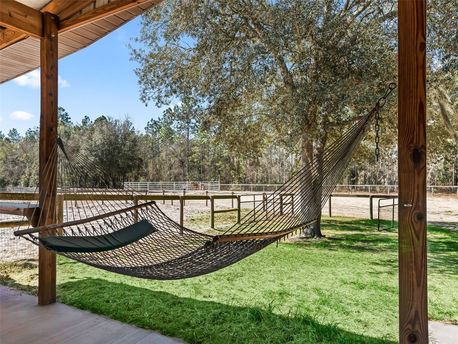 Listing photo id 50 for 11670 6th Street