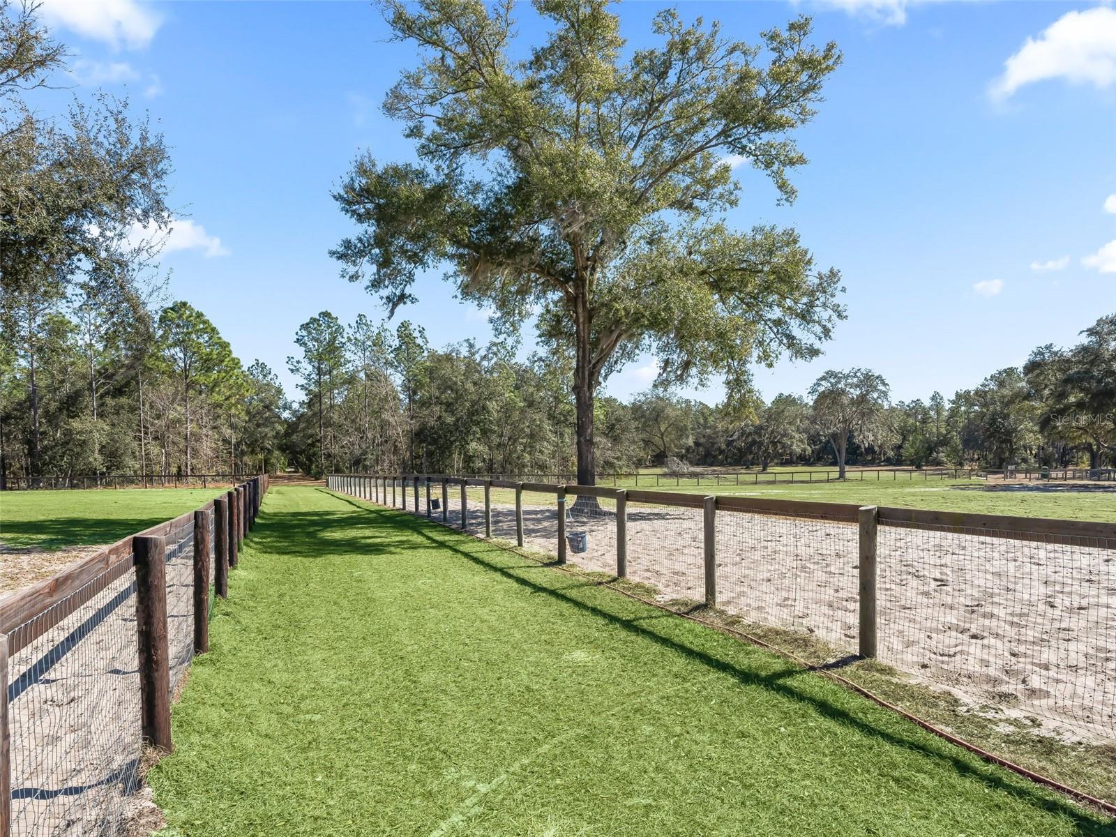 Listing photo id 56 for 11670 6th Street