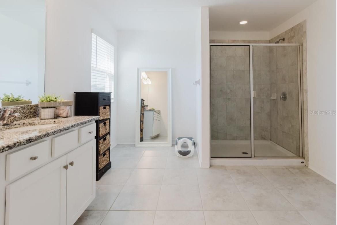 Image 12 of 21 For 3047 Adams Cross Drive