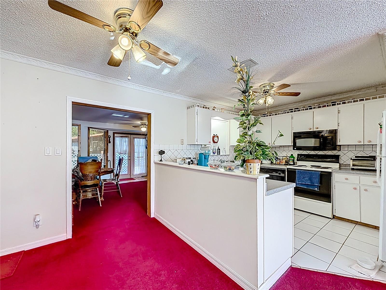 Image 10 of 50 For 50 Spring Loop