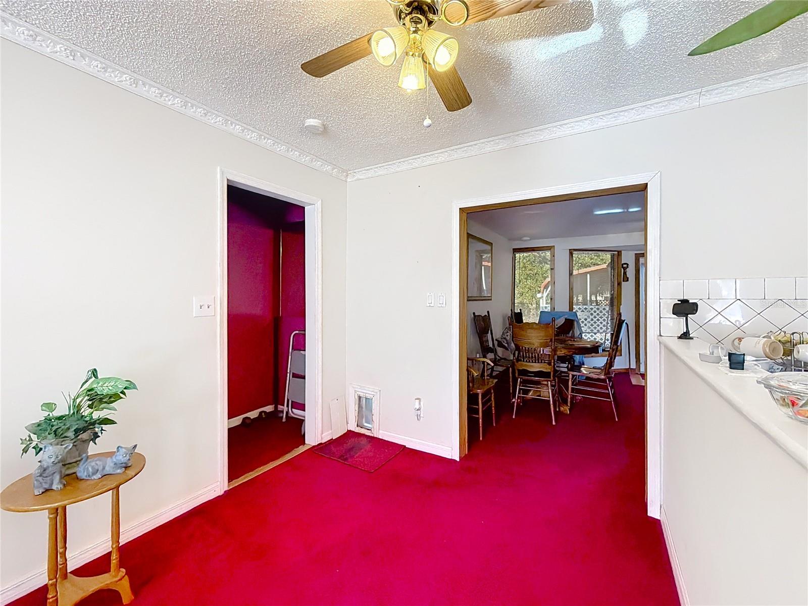 Image 15 of 50 For 50 Spring Loop