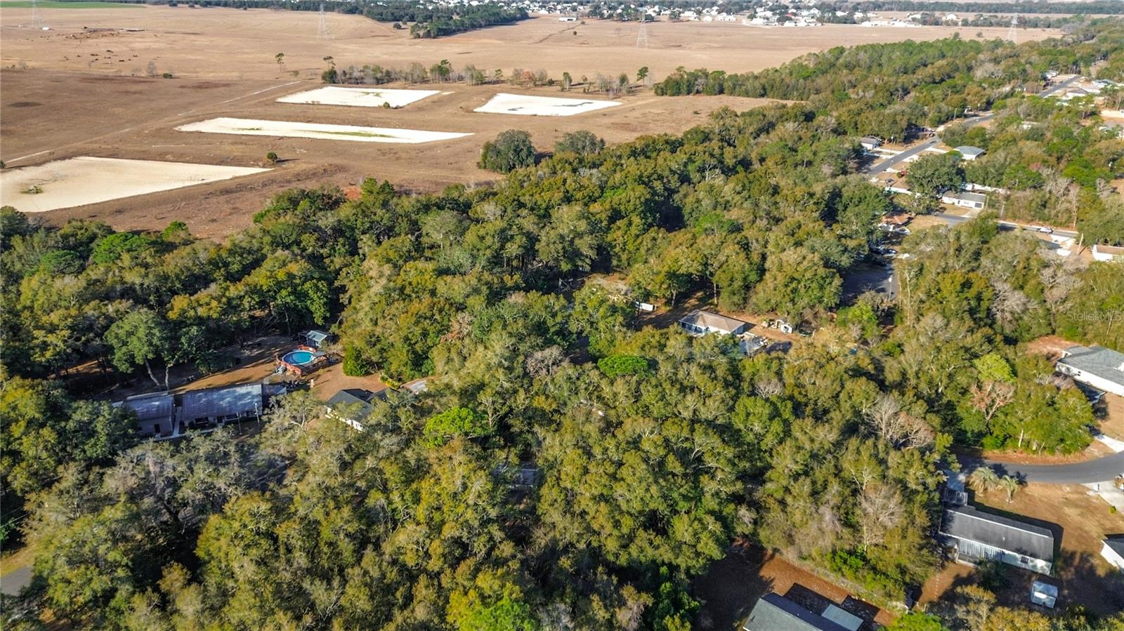 Image 45 of 50 For 50 Spring Loop