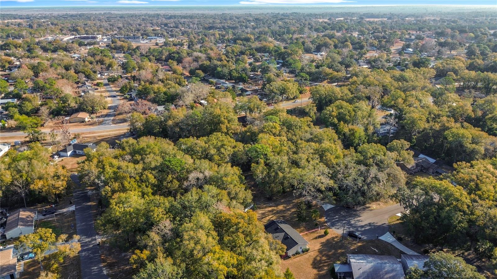 Image 50 of 50 For 50 Spring Loop