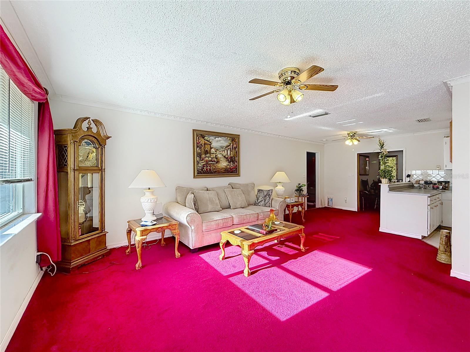 Image 7 of 50 For 50 Spring Loop