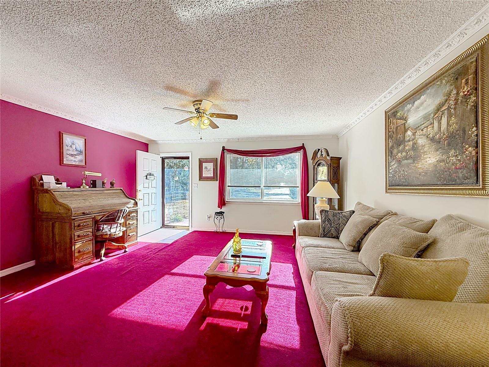 Image 9 of 50 For 50 Spring Loop