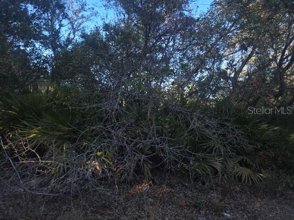 Image 4 of 4 For Malauka Pass Crse