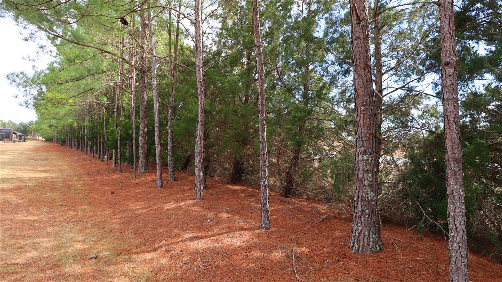 Image 28 of 32 For 7707 94th Circle