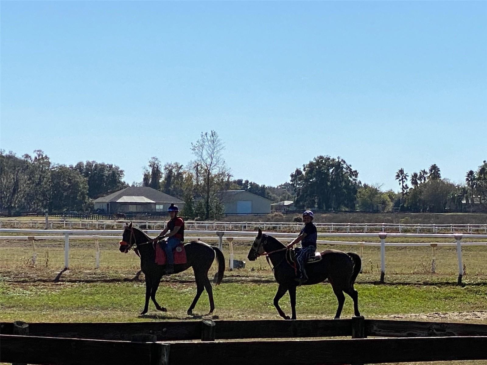 Listing photo id 16 for 12020 Us Highway 441