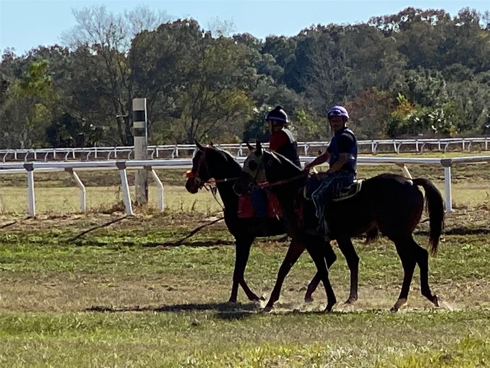 Listing photo id 17 for 12020 Us Highway 441