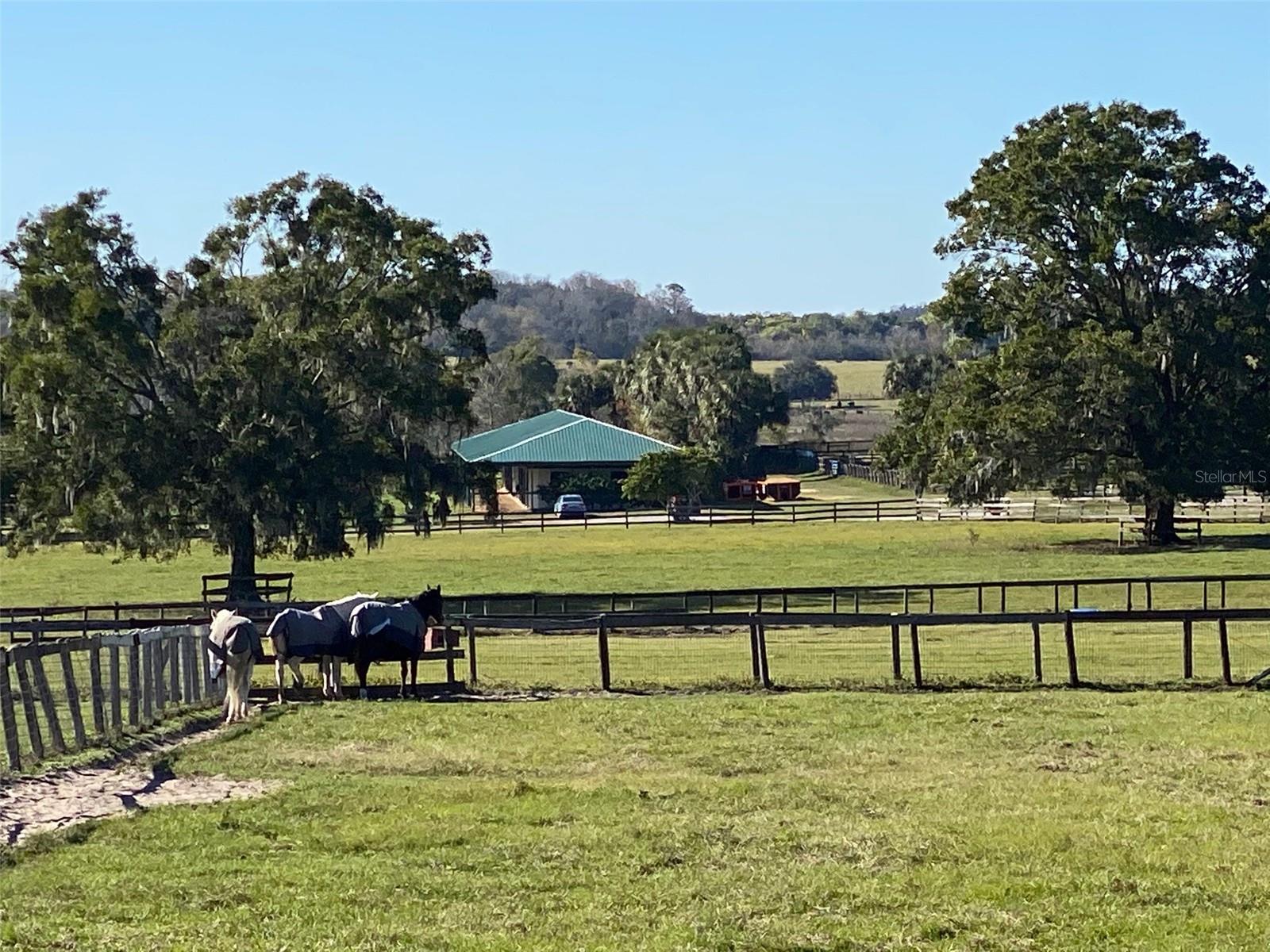 Listing photo id 27 for 12020 Us Highway 441