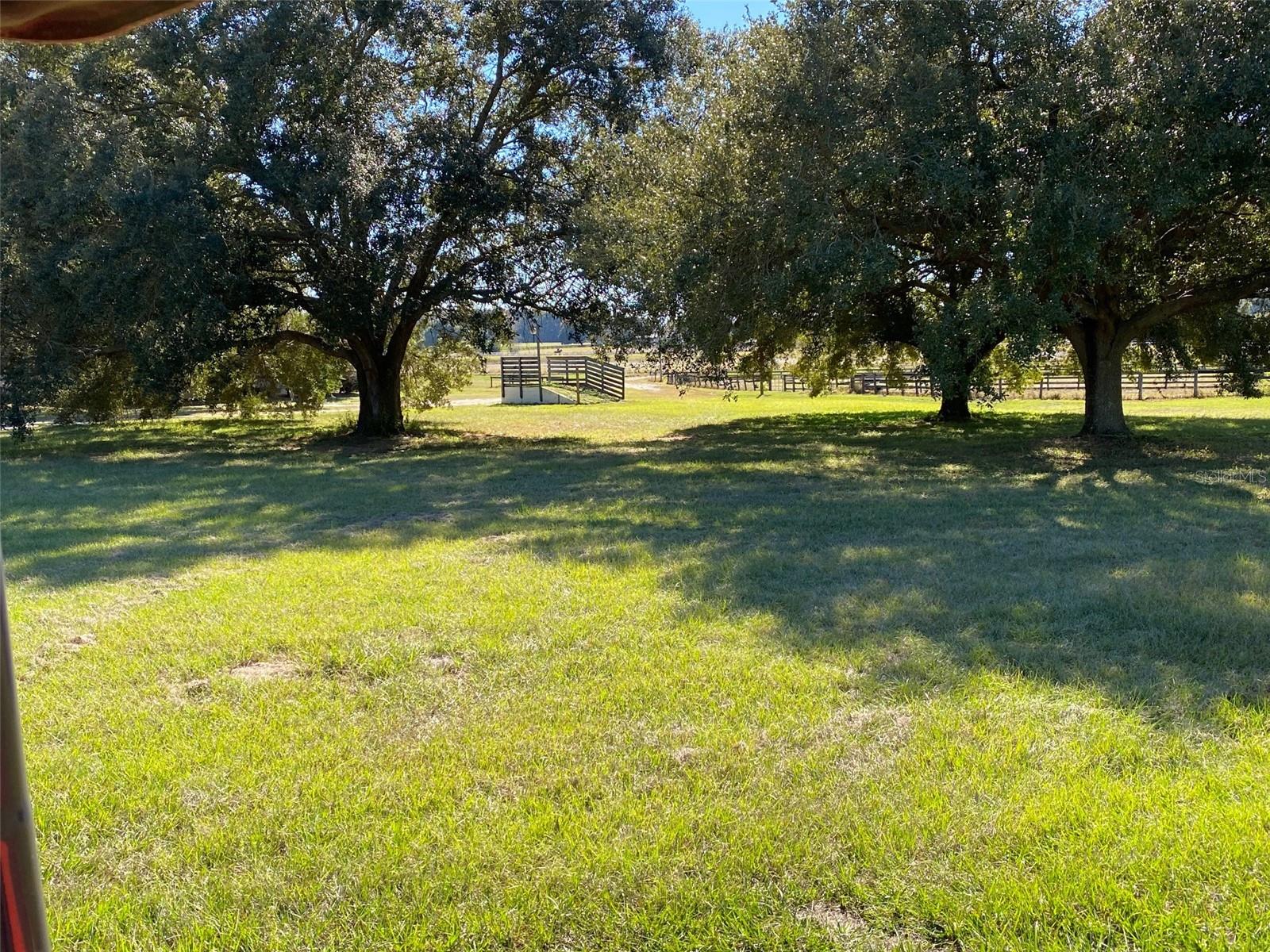 Listing photo id 5 for 12020 Us Highway 441