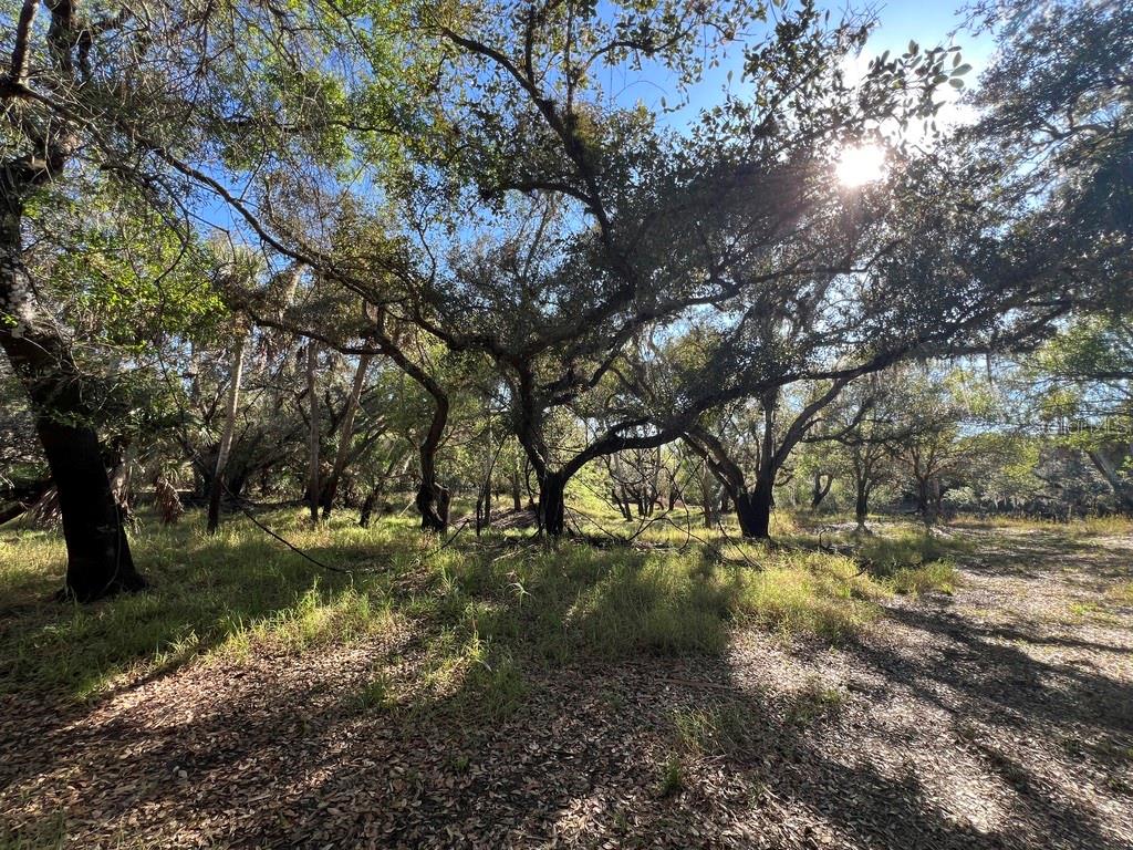 Details for Address Not Provided