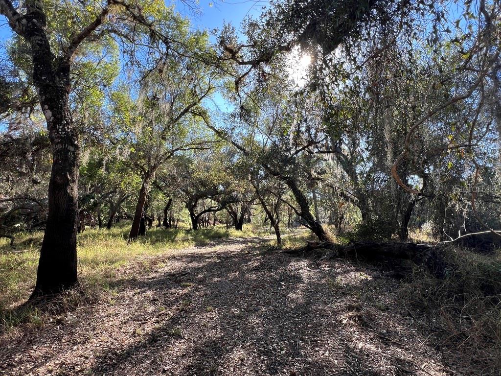 Image 2 of 97 For Address Not Provided