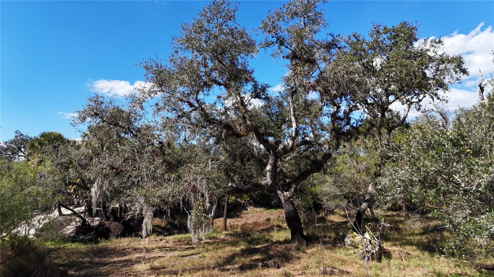 Image 25 of 97 For Address Not Provided