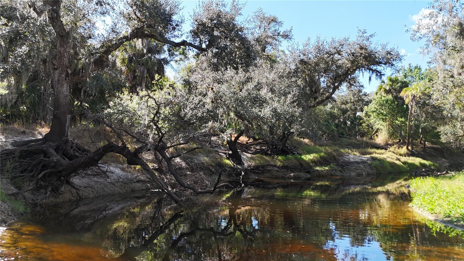 Image 26 of 97 For Address Not Provided