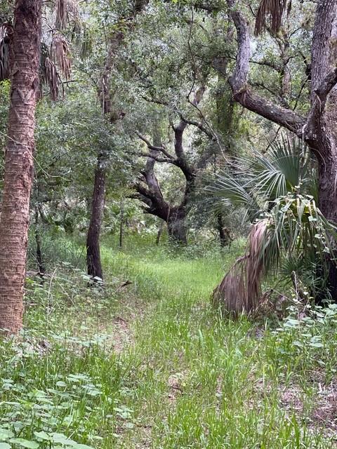 Image 28 of 97 For Address Not Provided