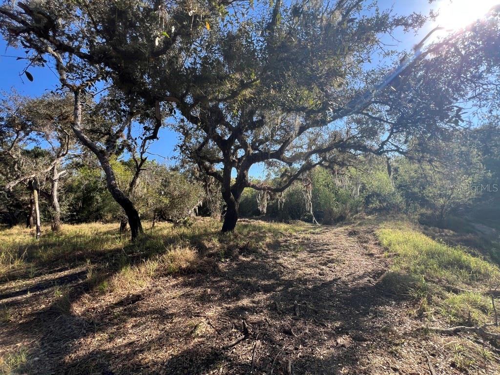 Image 30 of 97 For Address Not Provided