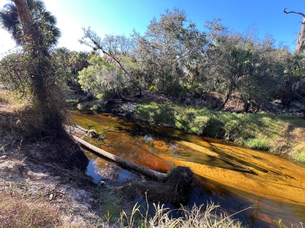 Image 33 of 97 For Address Not Provided