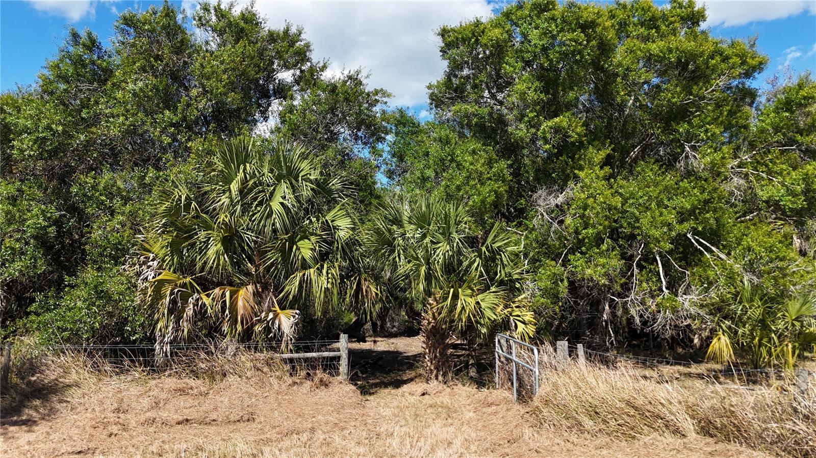 Image 36 of 97 For Address Not Provided