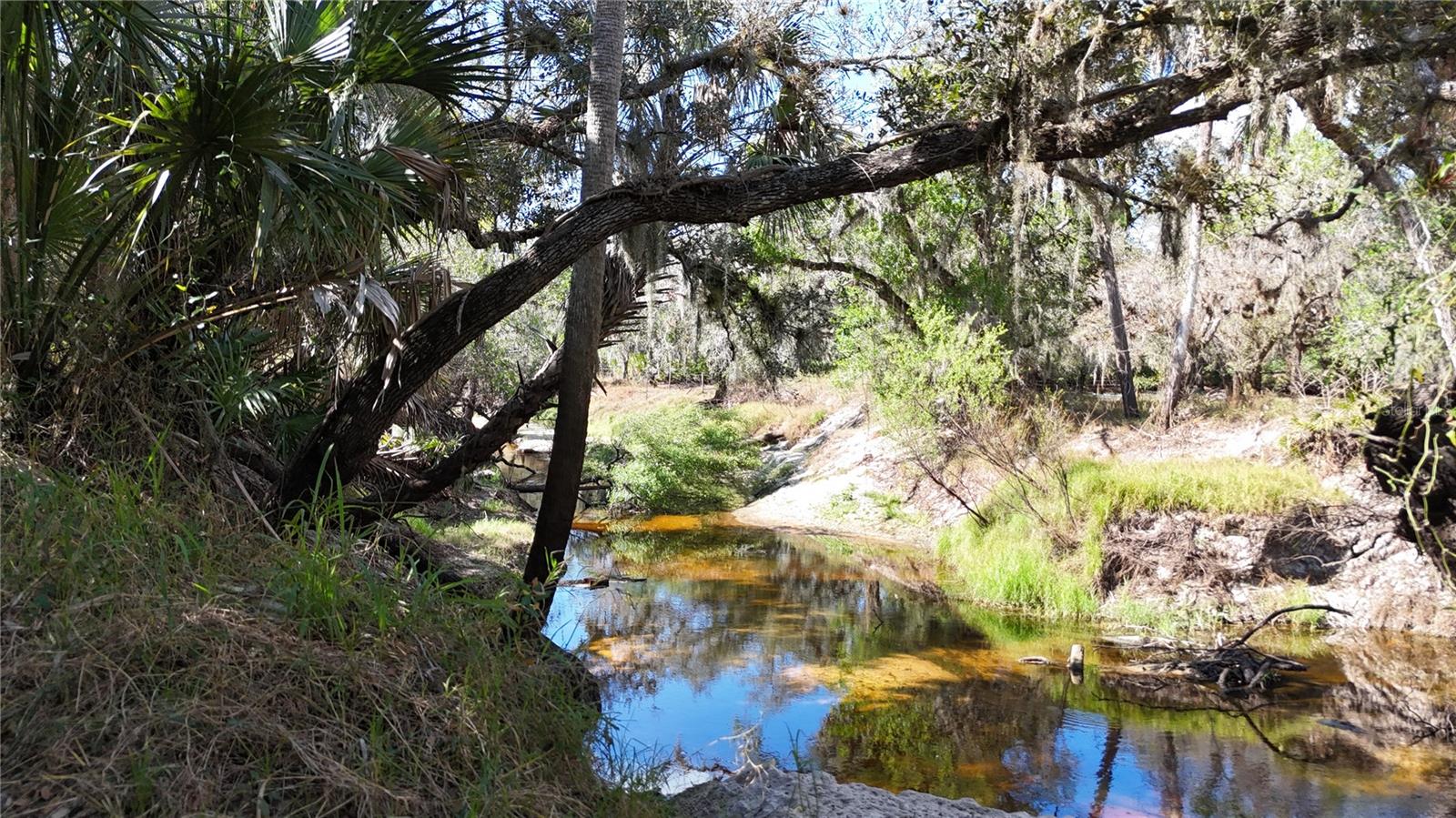 Image 37 of 97 For Address Not Provided