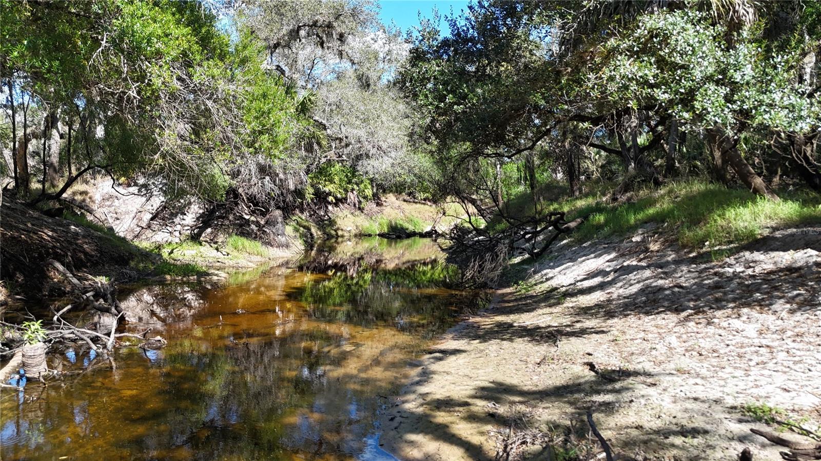 Image 38 of 97 For Address Not Provided