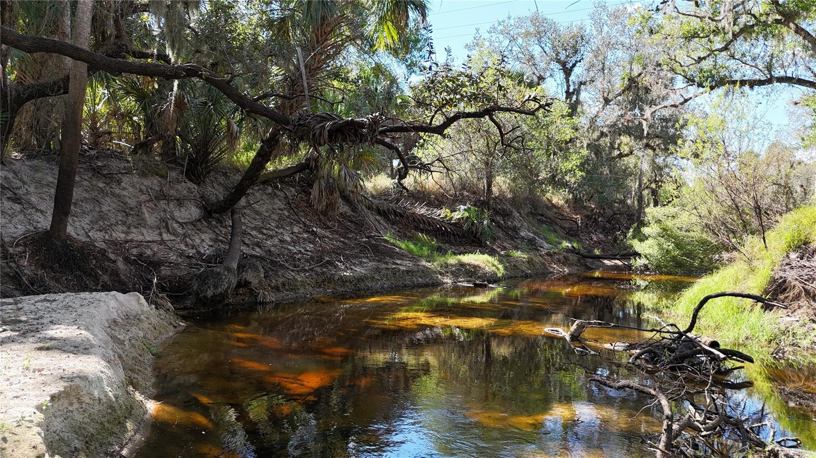 Image 39 of 97 For Address Not Provided