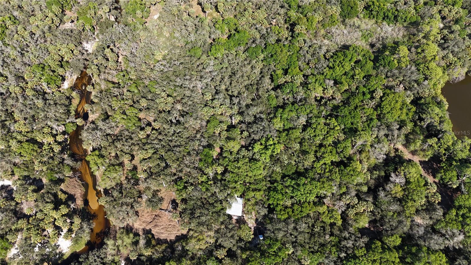 Image 42 of 97 For Address Not Provided