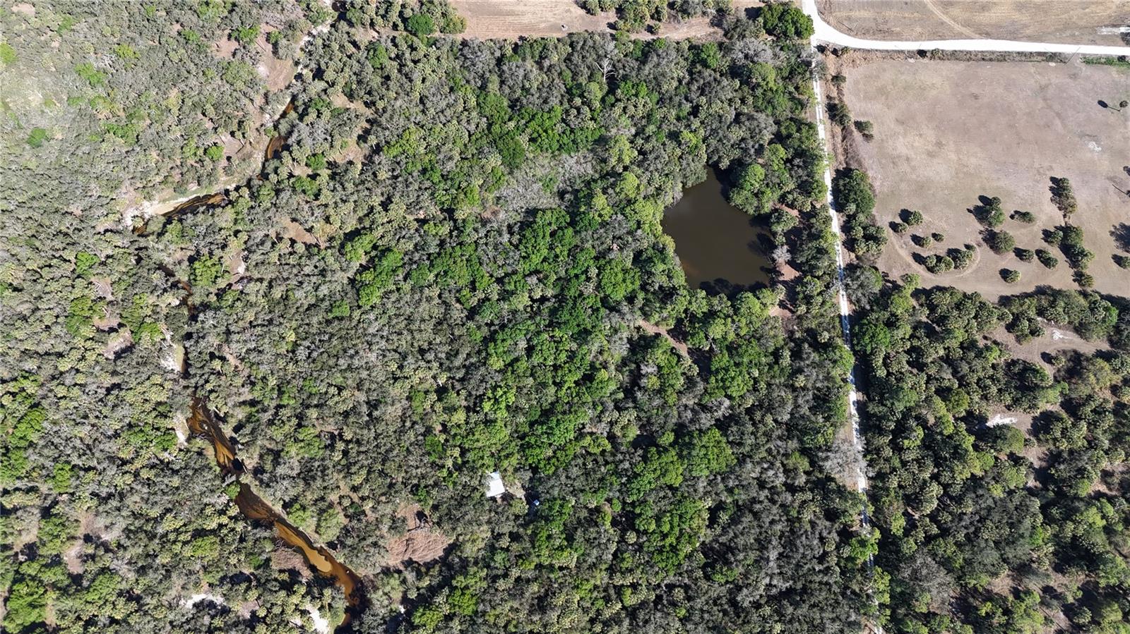 Image 43 of 97 For Address Not Provided